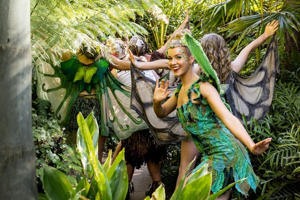 Tinkerbell and the Dream Fairies Sydney
