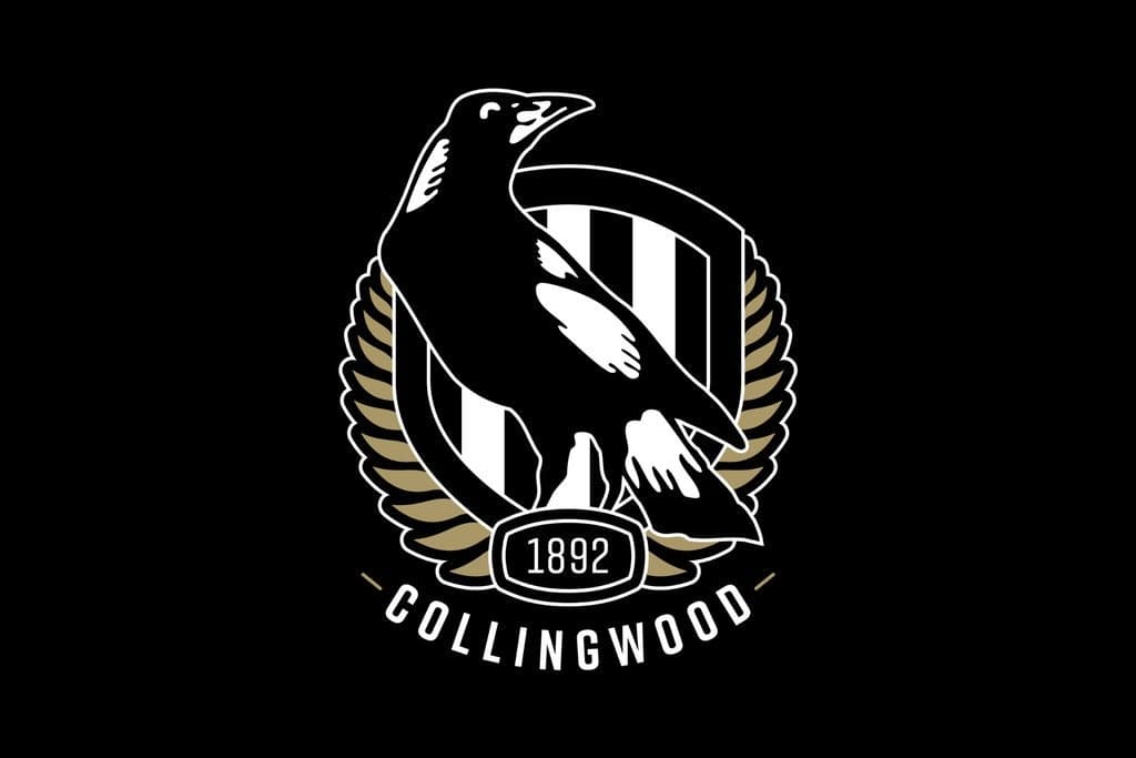 Collingwood v North Melbourne - AFL Reserve & MCC
