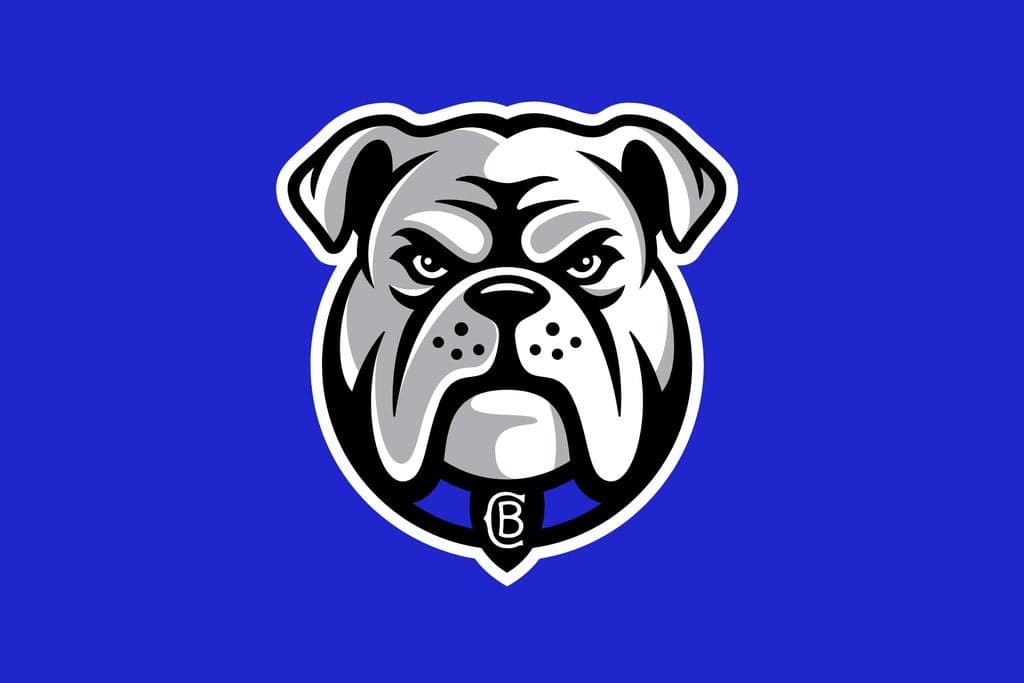 2026 NRL Telstra Premiership Bulldogs v Sea Eagles (Round 16)